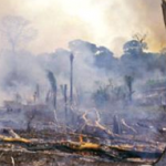 Slash and Burn -typical