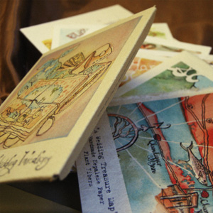 Buy Seed Packet Swatch Kit
