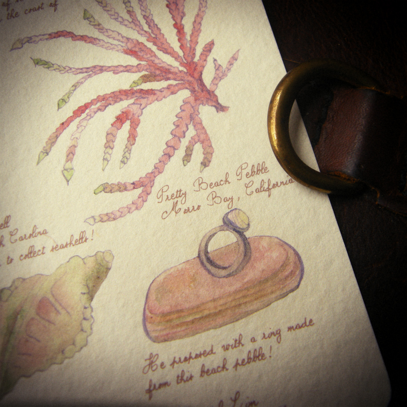 The Botanical (sample set)