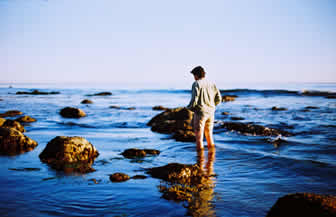 rocky shores rocky shores
